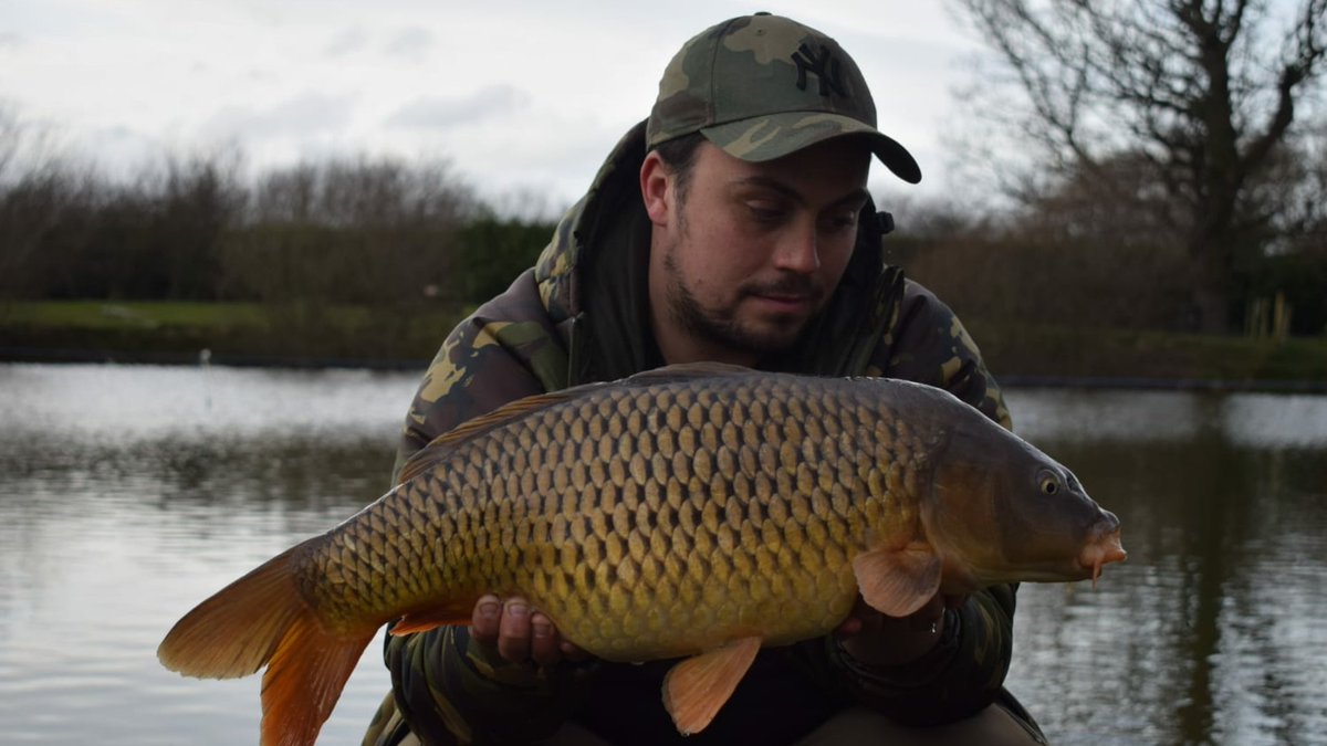 Team member Adam Arathoon, was at Chester lakes today, landing this immaculate Common on a 9ft zig rig! 
Never been to Chester lakes? Why not???????
👇 Discover us here!!! 👇
Chester Lakes
Church Rd, Chester CH4 9LQ
07860 133133
maps.app.goo.gl/DYYcAijduwNAif…
chesterlakes.co.uk