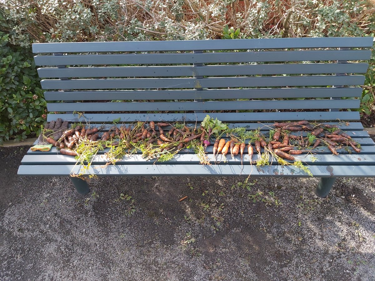 Many thanks to the team of volunteers from The Well who helped out at Green Heart Den today. All their help was much appreciated in clearing the weeds and tidying up, ready for the spring. All worth while for being able to take some carrots home!