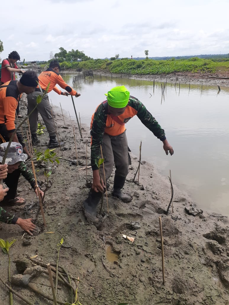 Wapalhi's tweet photo. Penanaman mangrove di Desa Bulak Baru, Kec. Kedung, Kab. Jepara, minggu, 8/3/20. Kegaiatan tersebut dihadiri perwakilan Pemda Jepara, BPDASHL Pemali Jratun, Koramil Kedung, Polsek Kedung, Civitas Akademika UNISNU, Organisasi Pecinta Alam Jateng, Pelajar, serta masyarakat. https://t.co/2k6m8GqHdS