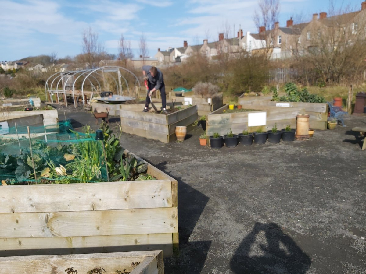 greenheartden's tweet photo. Many thanks to the team of volunteers from The Well who helped out at Green Heart Den today. All their help was much appreciated in clearing the weeds and tidying up, ready for the spring. All worth while for being able to take some carrots home! https://t.co/Pv6AnbmGS9
