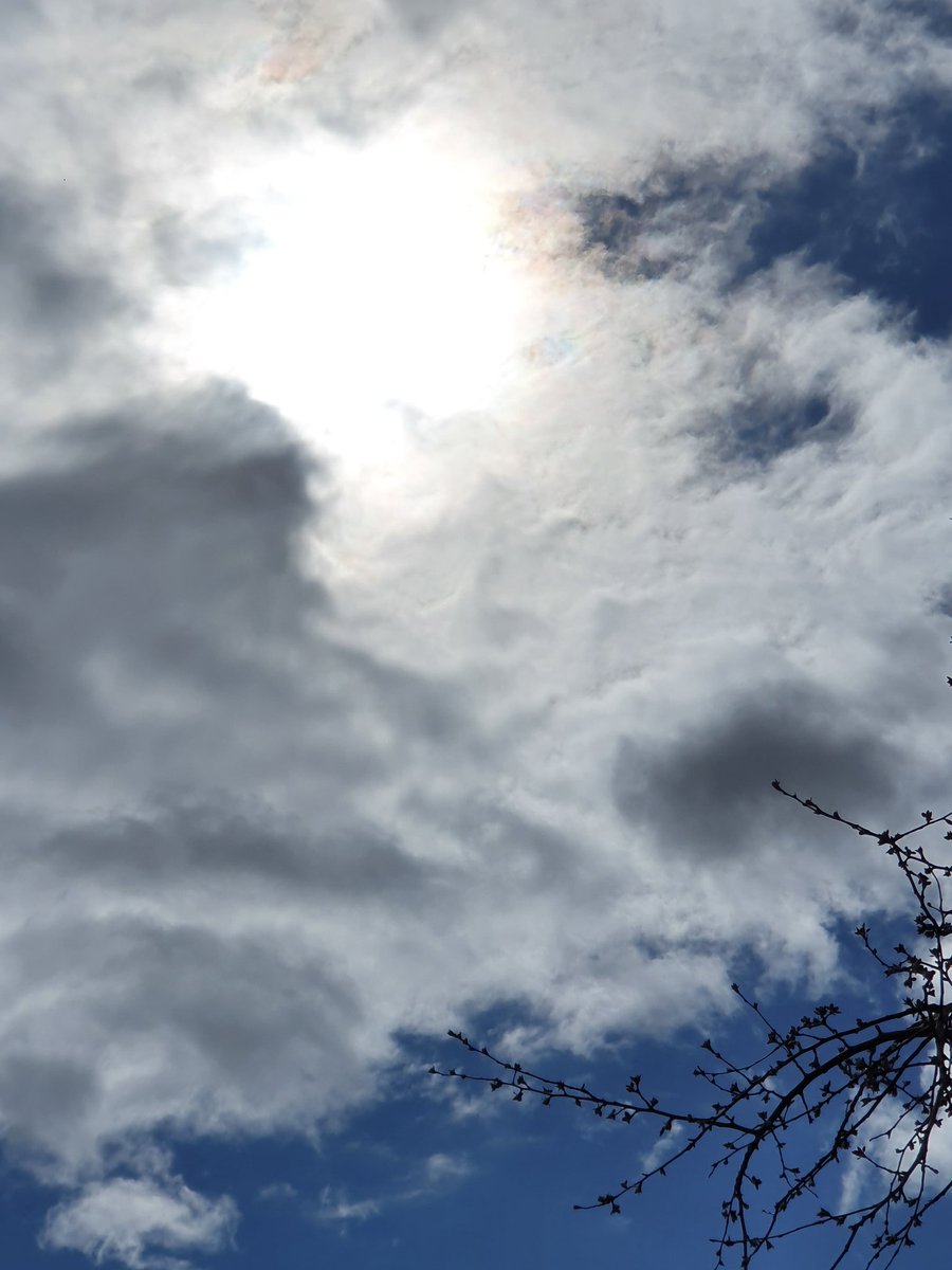 ellezf's tweet photo. Era divertido, tumbarnos sobre la hierba y observar el lento pasar de las nubes, buscando formas reconocibles.
Pero las nubes, presagiaban tormenta y cuando llego, fue tan violenta, que el viento y la lluvia nos llevaron por distintos sitios a distintos lugares.
#buscandonos https://t.co/gPcMj5hW3d