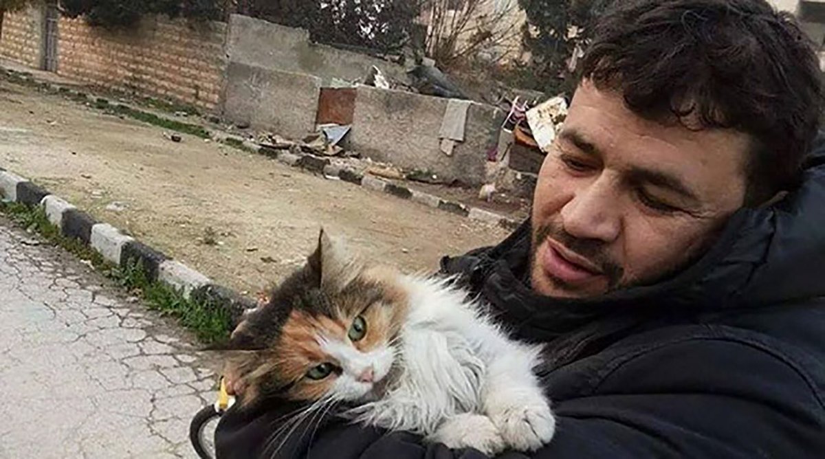 nomoreafterme's tweet photo. Look how the animals affected by the Syrian war are tended to by Ernesto’s Sanctuary. Kittens, puppies, cats &amp; dogs fed &amp; rescued. If you can’t donate, please bless them, pray for them, surround them with comfort &amp; healing. #Syria #Aleppo #AleppoCatMan https://t.co/qSGAiQBsA6 https://t.co/A8fjEgqims