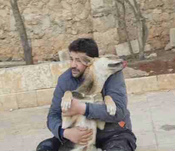 nomoreafterme's tweet photo. Look how the animals affected by the Syrian war are tended to by Ernesto’s Sanctuary. Kittens, puppies, cats &amp; dogs fed &amp; rescued. If you can’t donate, please bless them, pray for them, surround them with comfort &amp; healing. #Syria #Aleppo #AleppoCatMan https://t.co/qSGAiQBsA6 https://t.co/A8fjEgqims