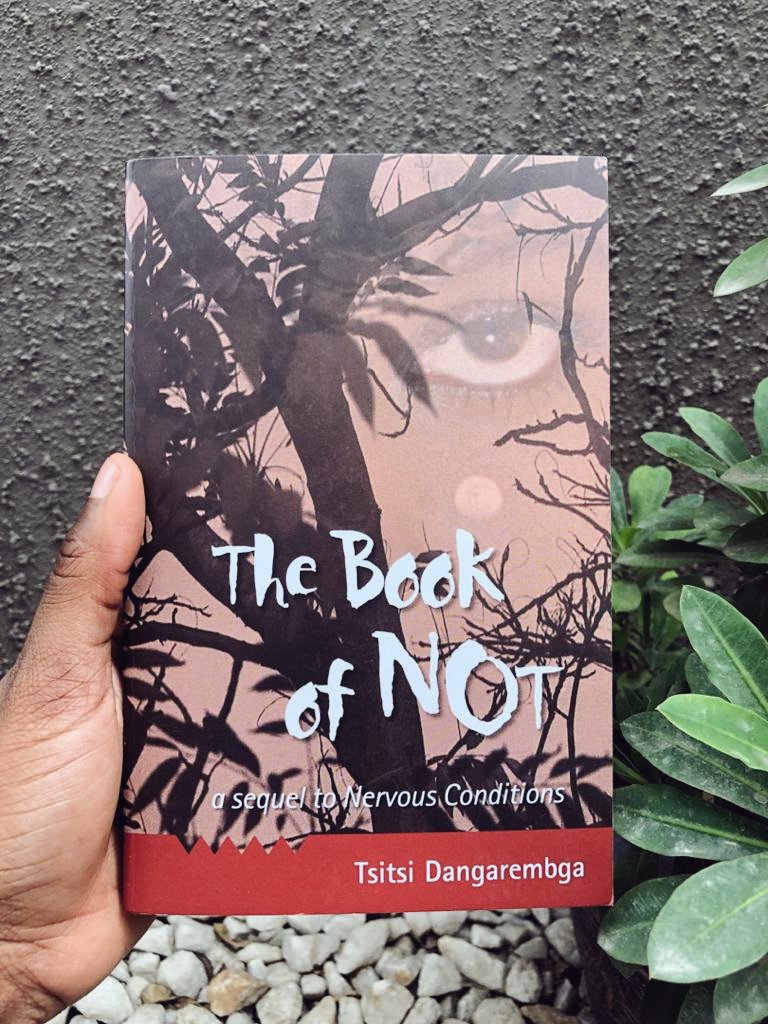 19- The Book Of Not | Tsitsi DangaremgbaDidn't like it as much as the first but I'm excited to read book 3.