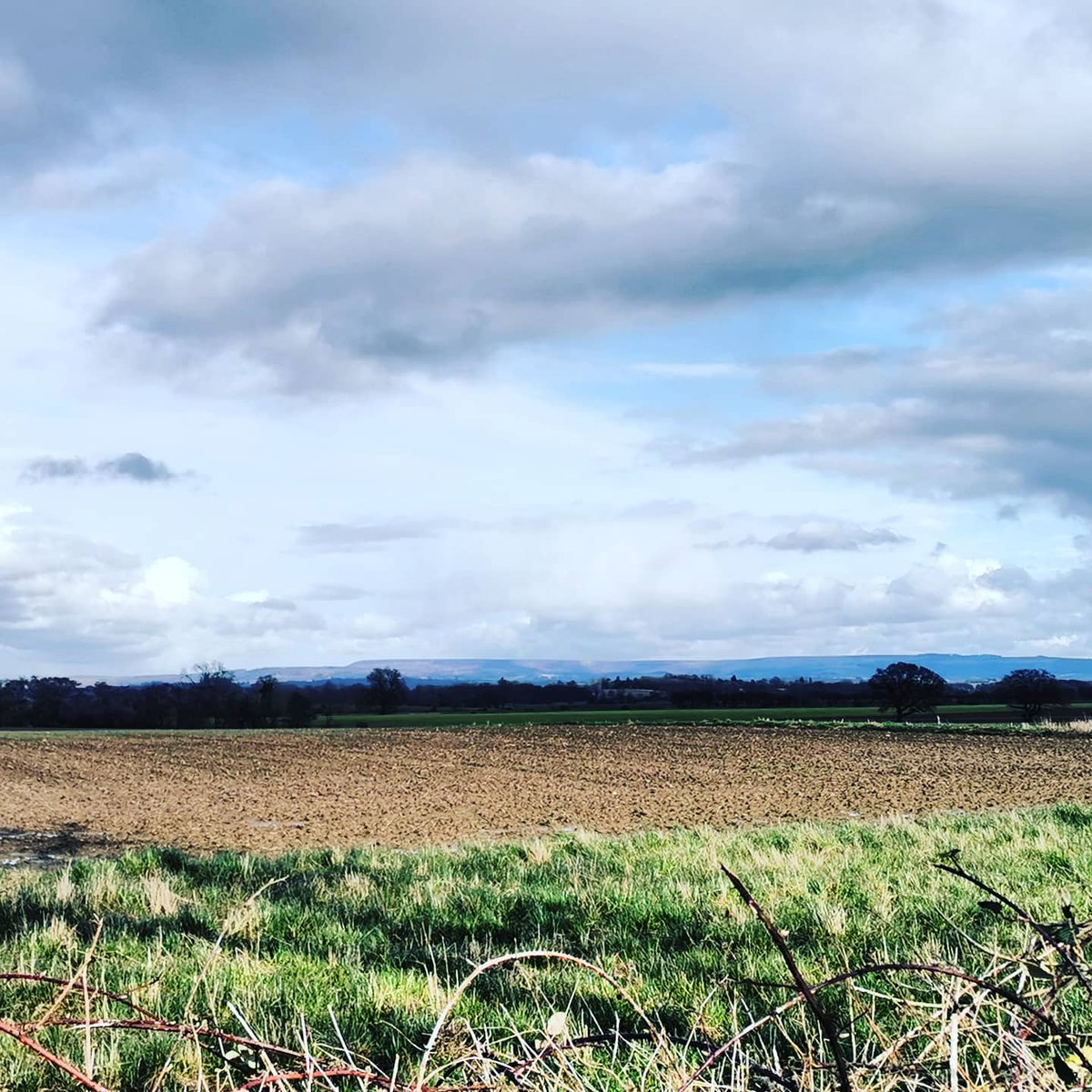 _RunningHappy's tweet photo. Run: 3.88mi in East Yorkshire. Howardian Hills on the horizon.
An opportunity to practice mindfulness on the move, if that's possible? I paid close attention to my breathing for almost 2 miles and felt heavily relaxed.

#stressrelief #AnxietyRelief #running https://t.co/niZnfOveqH