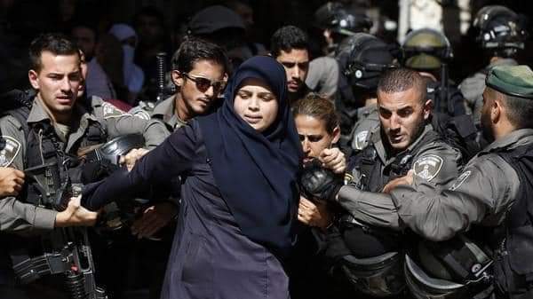 Aya Isleem 🇵🇸 #Gaza tweet media