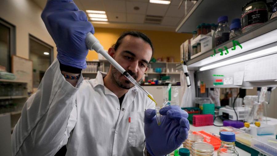 LaStampa's tweet photo. Coronavirus, l’Istituto Migal d’Israele: siamo vicini al vaccino https://t.co/l6vSGkItpT https://t.co/1RYVsiA9tk