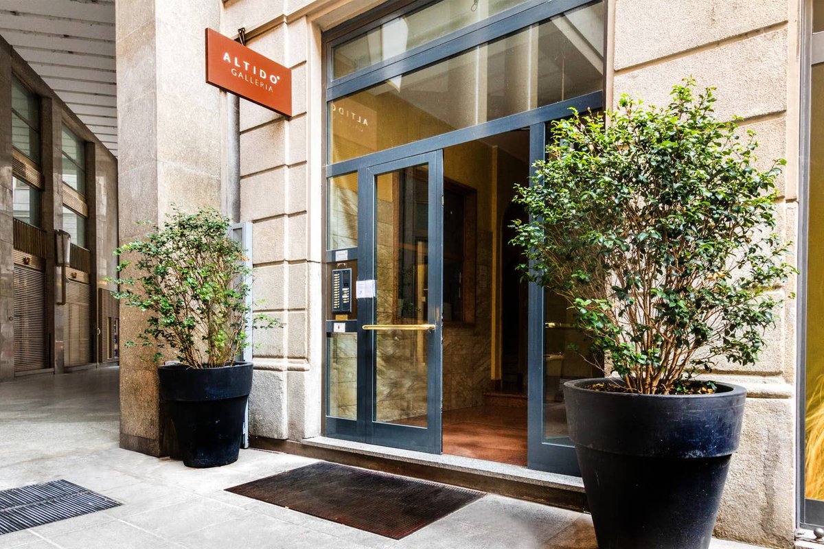 StayAltido tweet media