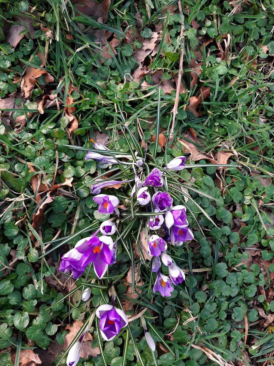 Happy International Women's Day, ladies! Stay strong and amazing 🌟💎