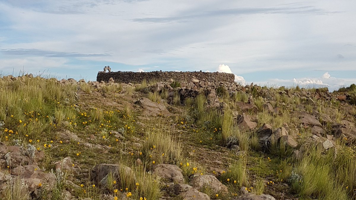 ReDeLaP's tweet photo. Por el #DíaDeLaMujer cargándome de energía en #Pachamama #Amantani #LagoTiticaca para seguir trabajando por un mundo más justo, seguro y equitativo para nosotras y las mujeres👭🏾👭🏾🤼♀️🤸🏾♀️🏄♀️ que vienen
#NiUnaMenos #JuntasSomosMásFuertes
#NoEsNormal https://t.co/n8Ag3T0Czj