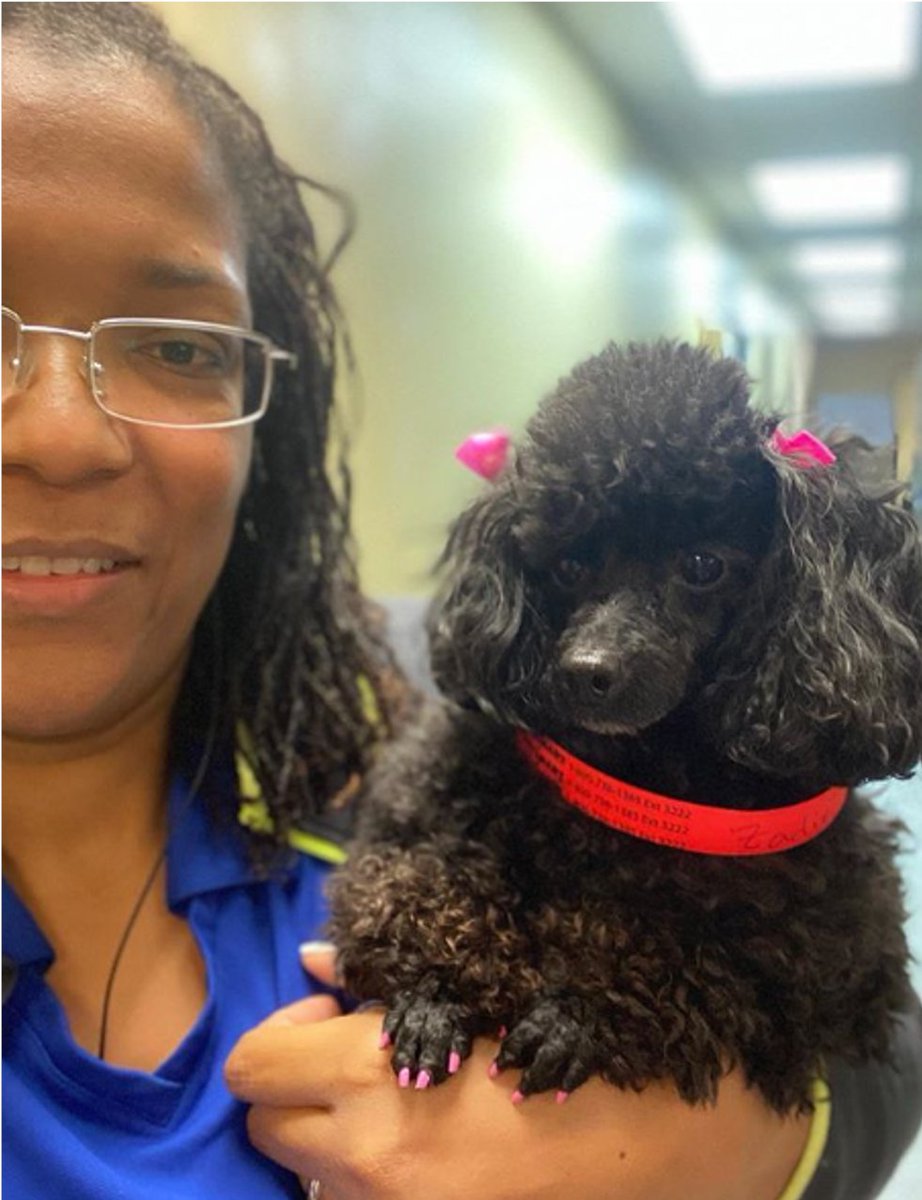 Happy #InternationalWomensDay! We love our ladies living #LifeAtPetSmart and appreciate all of their hard work #ForTheLoveOfPets! 

Give a shoutout to your best gal-pal below! 🐾❤️🥰👯