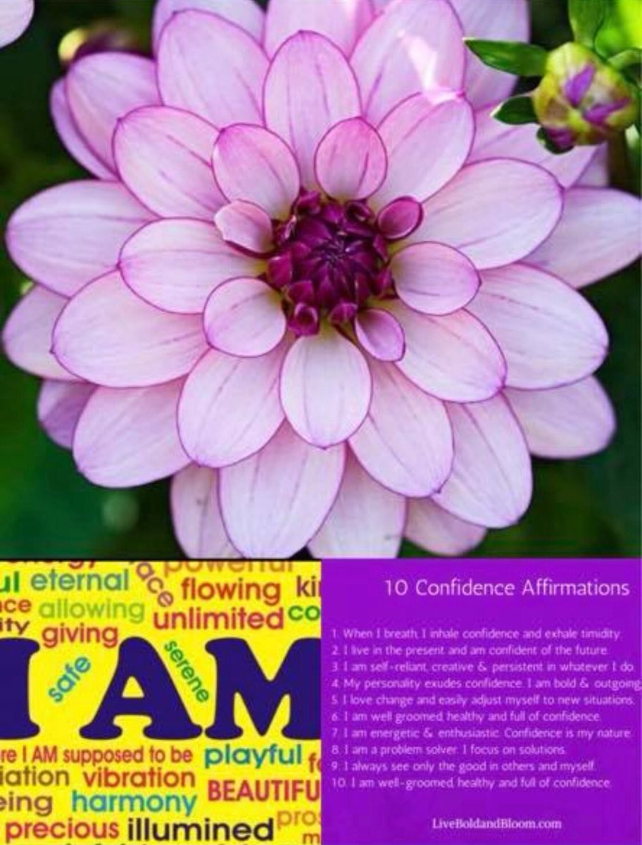 Tenesha Hayes tweet media