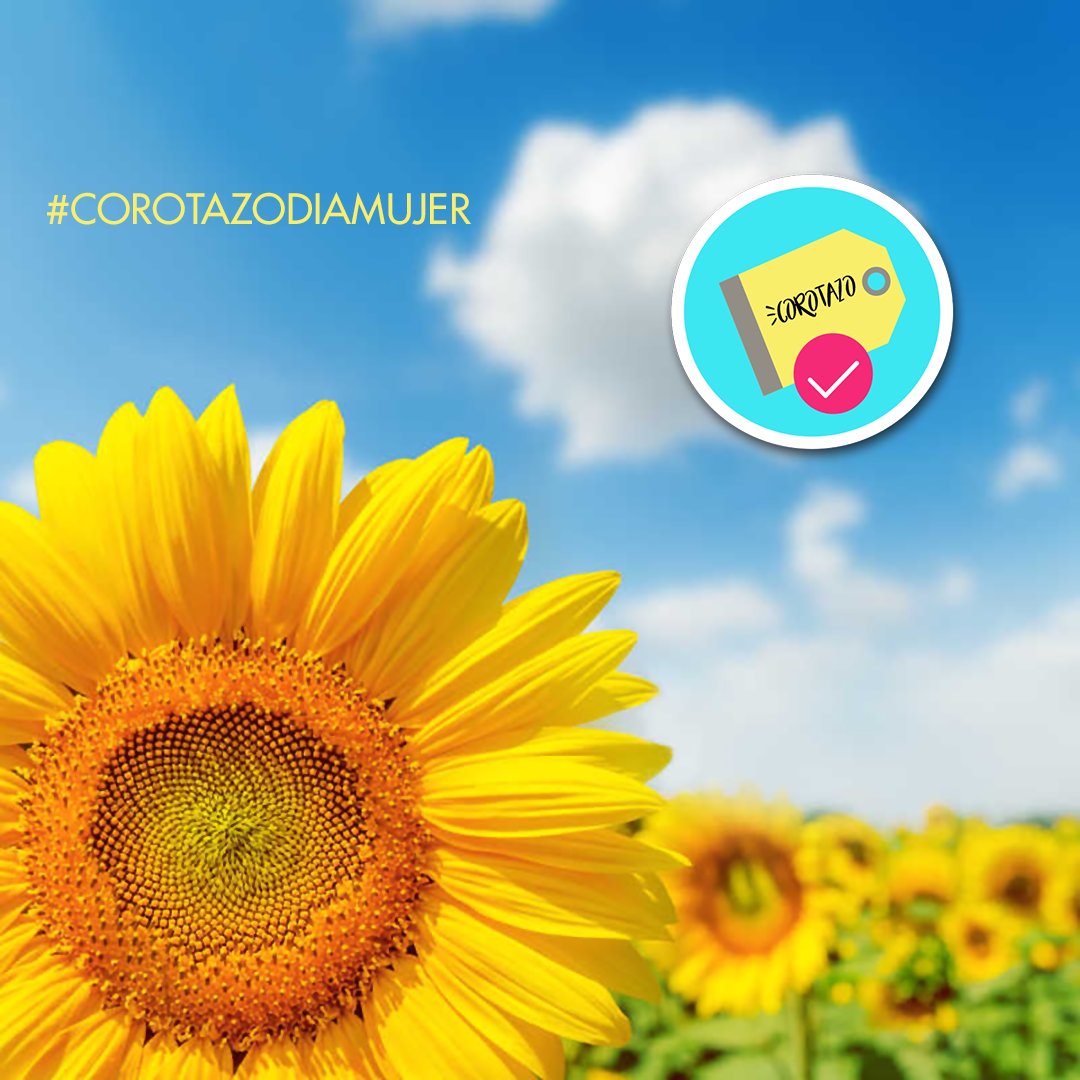 CorotazoCcs's tweet photo. "Nada en la vida debe ser temido, solamente comprendido"...
Marie Curie.

Feliz Día Internacional de la Mujer.

#corotazomanzanares #corotazodiamujer https://t.co/7A9HlFtX0n