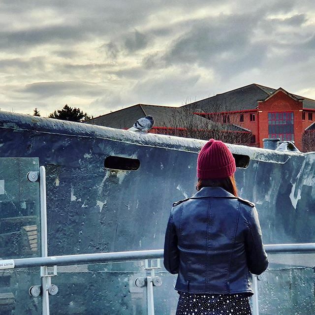 c4chrisford's tweet photo. @fionamega trying to make a friend in time for #summer #pigeonpal #friend #nomates #pigeonsofinstagram https://t.co/kiT21ITB1o https://t.co/OH9Xin9sQZ