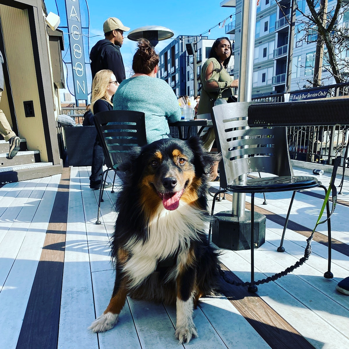 🐾We are dog friendly! #patiovibes #mpls #minneapolis #uptownmpls #uptownminneapolis #uptown