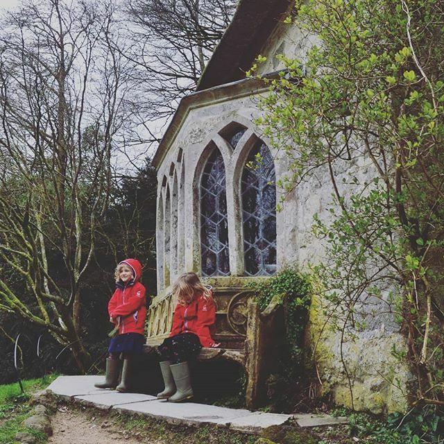 Kelly Mill tweet media