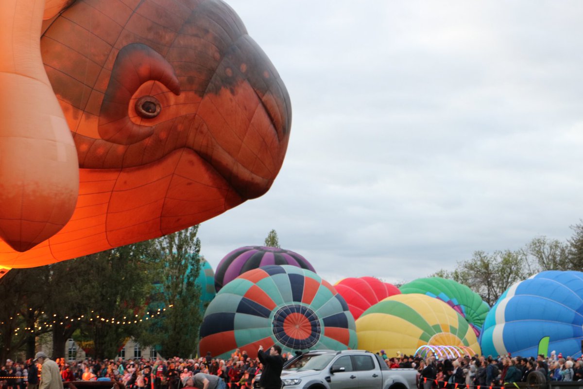 Up early to see the return of a much loved #Canberra hot air balloon #enlightenfestival #skywhale #canberraballoonspectacular