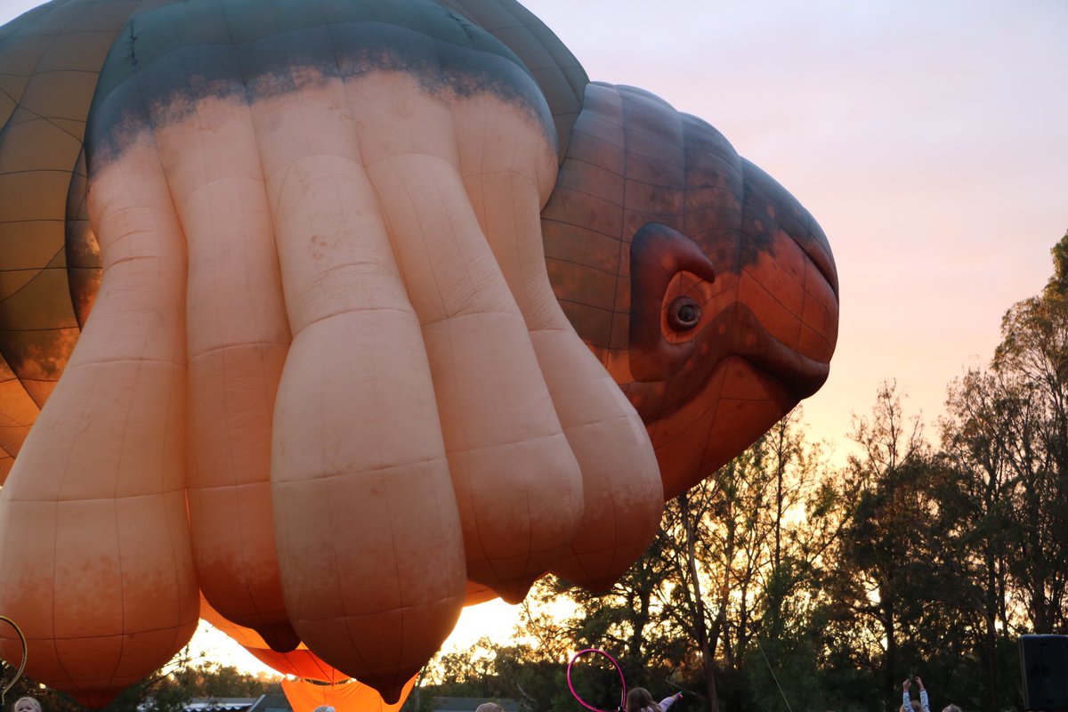 Lovely start to #Canberra Day with #Skywhale enjoying an outing near Old Parliament House #canberraballoonspectacular