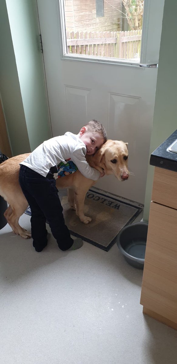 My guide dog Gracie and nephew Ben showing how much they love each other #puppylove#best friends