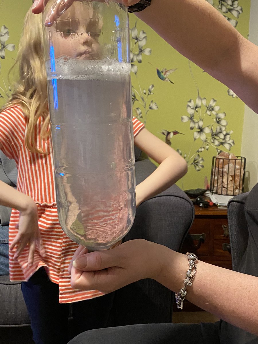 DonnaLillyman's tweet photo. Maceys year1 science experiment @WhitestoneInfs https://t.co/kanw4v71bj