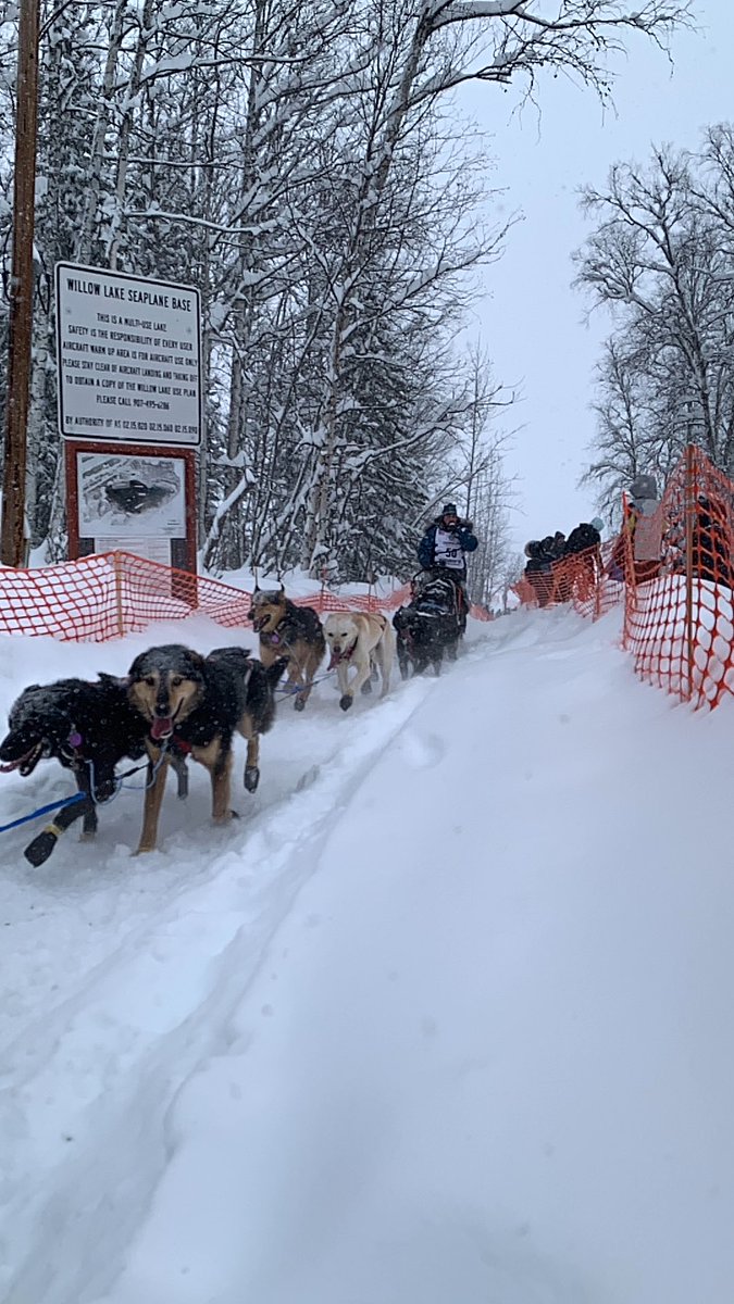 IditarodTours's tweet photo. @QuinceMountain and the team looking majestic in Willow #Qditarod #uglydogs https://t.co/q3dYPVNCNE