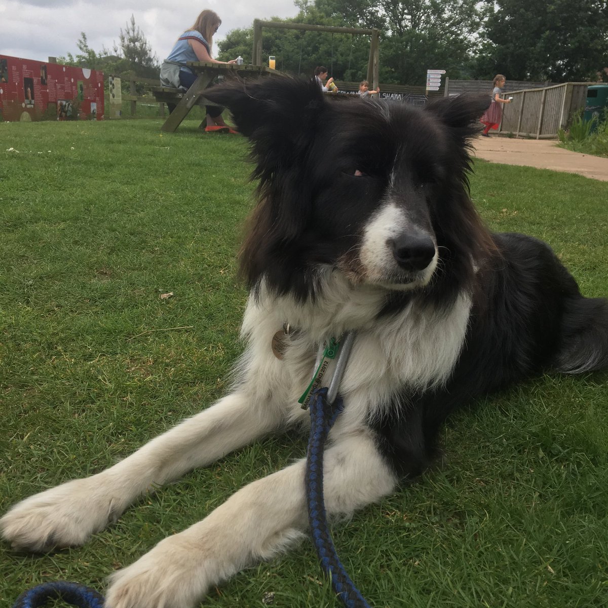 Dave Mason tweet media