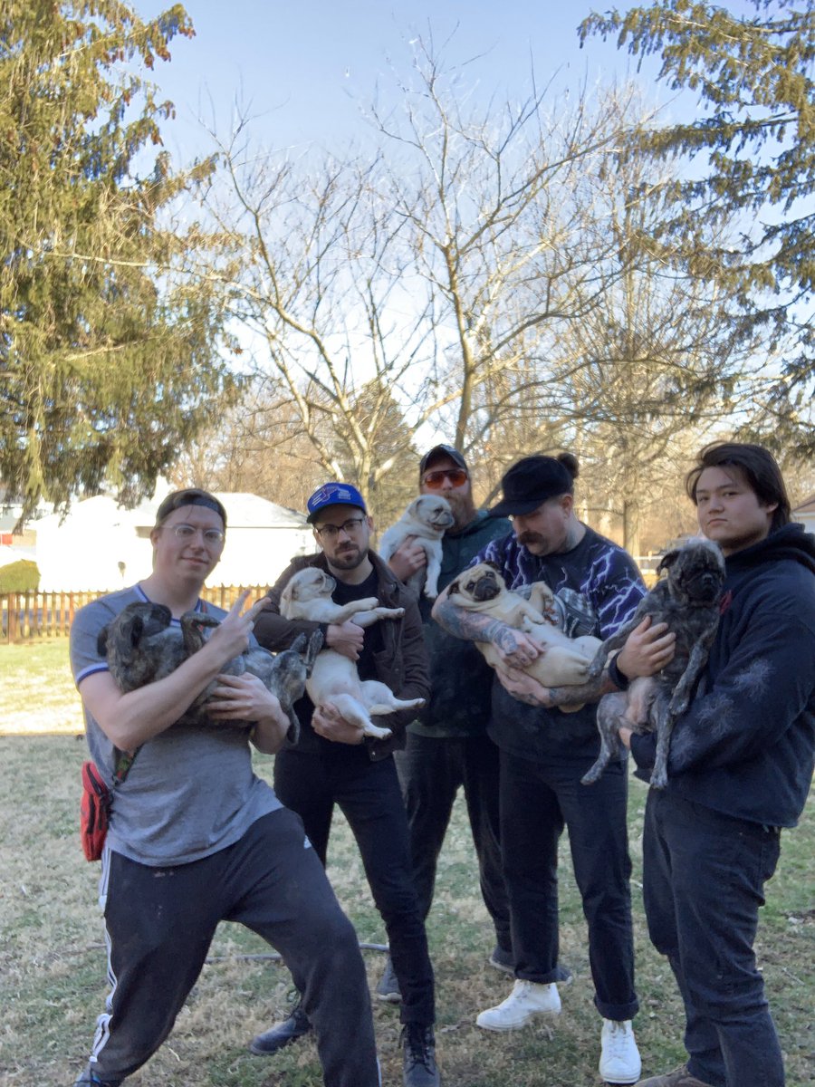 ColdRealm's tweet image. Pugs of Chaos. 

Pugs lives matter.

Pug Realm.

Puggle of Mud.

Reo PugWagon.

Keep em puggin.