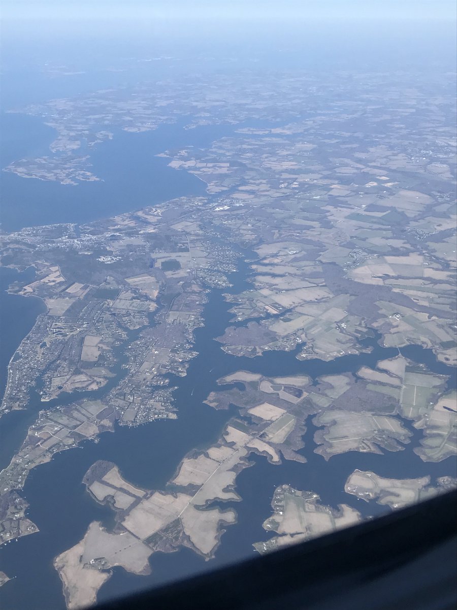 Dr. McLean tweet media