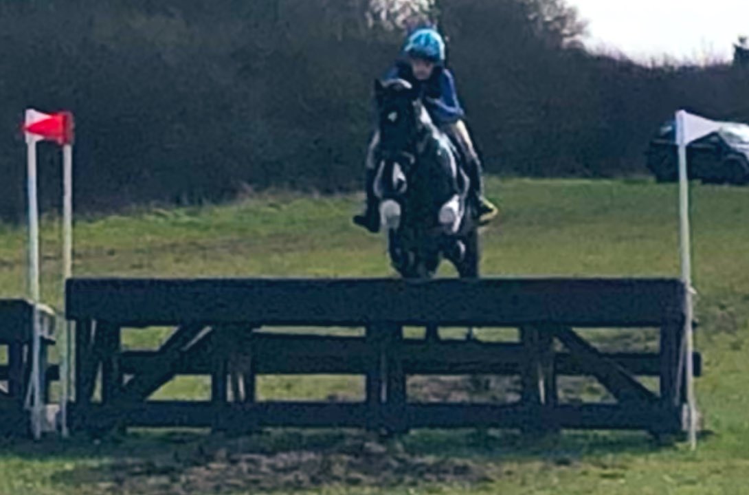 Harris Hawk tweet media