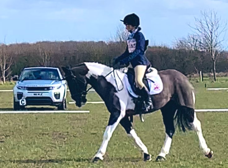 Harris Hawk tweet media