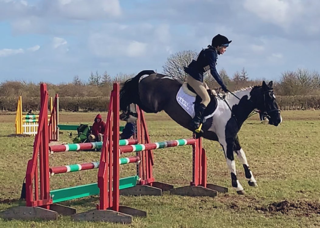 Harris Hawk tweet media