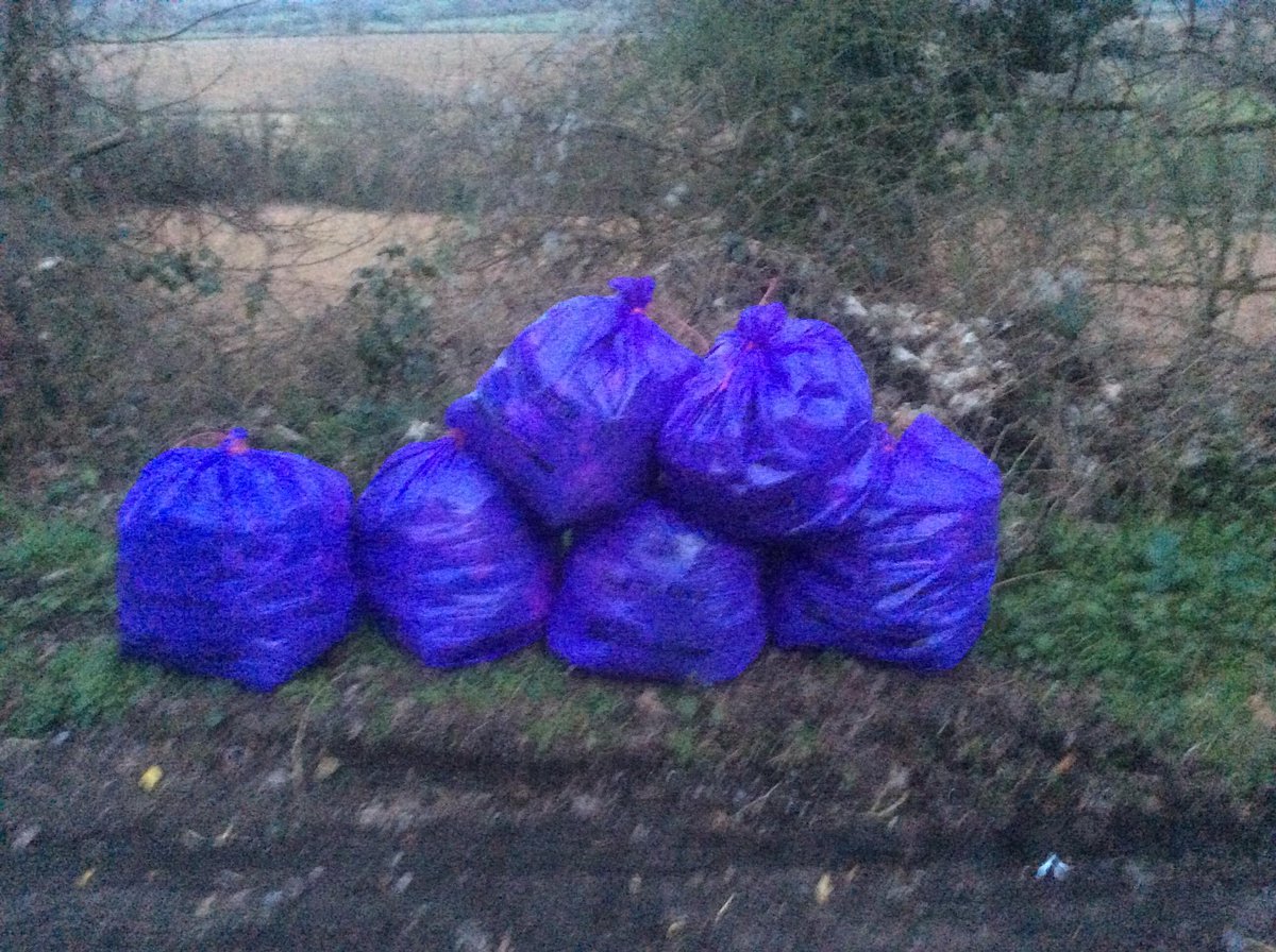 Ross Community Litter Pickers tweet media