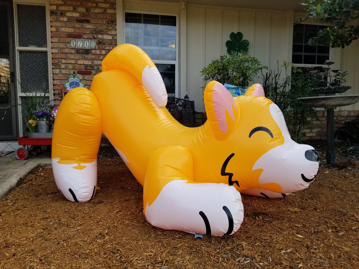 PooltoyWolf's tweet photo. I love how he looks all soft right after I get off his back <3
#Inflatable https://t.co/D85KwhCpVQ