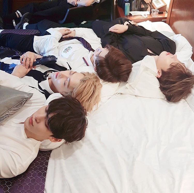 tinyowari's tweet image. a thread of ATEEZ as pictures of my dog bc I feel like it