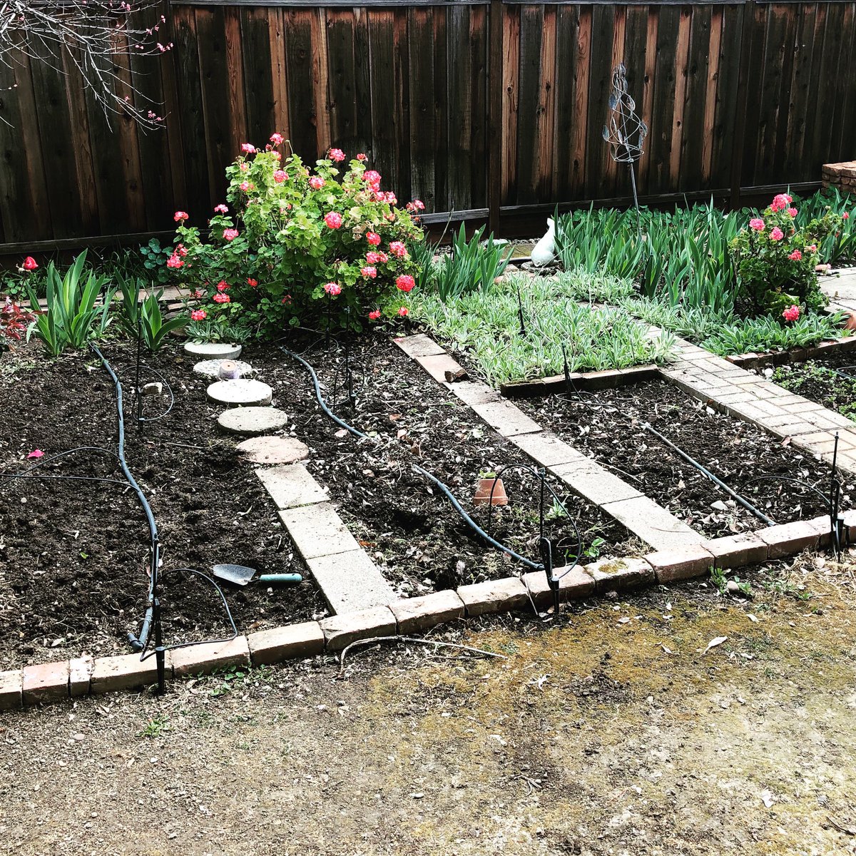 Getting the garden ready for some veggie planting. It’s been years since I’ve done this, so fingers crossed for rested soil and green thumbs. 🤞💚

#garden #gardening #gardenlife #veggiegarden #veggiegardening #savetheplanet #savetheearth #plantbased