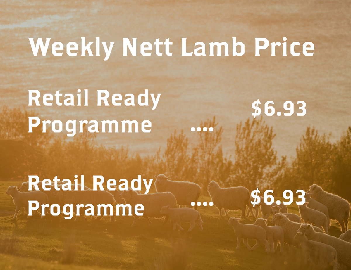 PaddockTop's tweet photo. The updated weekly lamb price for the week commencing March 9, is out! This is a Nett Price ex Farm Gate, based on a 20kg Lamb with 0.6kg Wool Pull.

For more information regarding the schedule please contact our livestock team on 0508 887 788. https://t.co/BmwDeZ9HIC