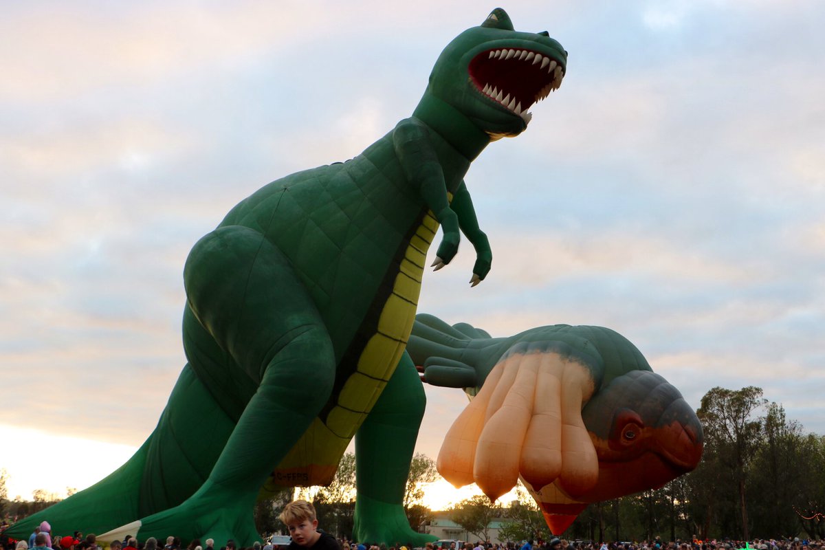 Take care that Tyrannosaurus looks hungry! T-Rex dinosaur and #Skywhale hot air balloons on show at #canberraballoonspectacular #Canberra
