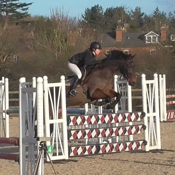 VetGoneEventing's tweet photo. Leo's first time round 1m 😍 🌟
#Yumove #ActiveJoint #TakeIt2TheLimit https://t.co/E6bGgiLejb