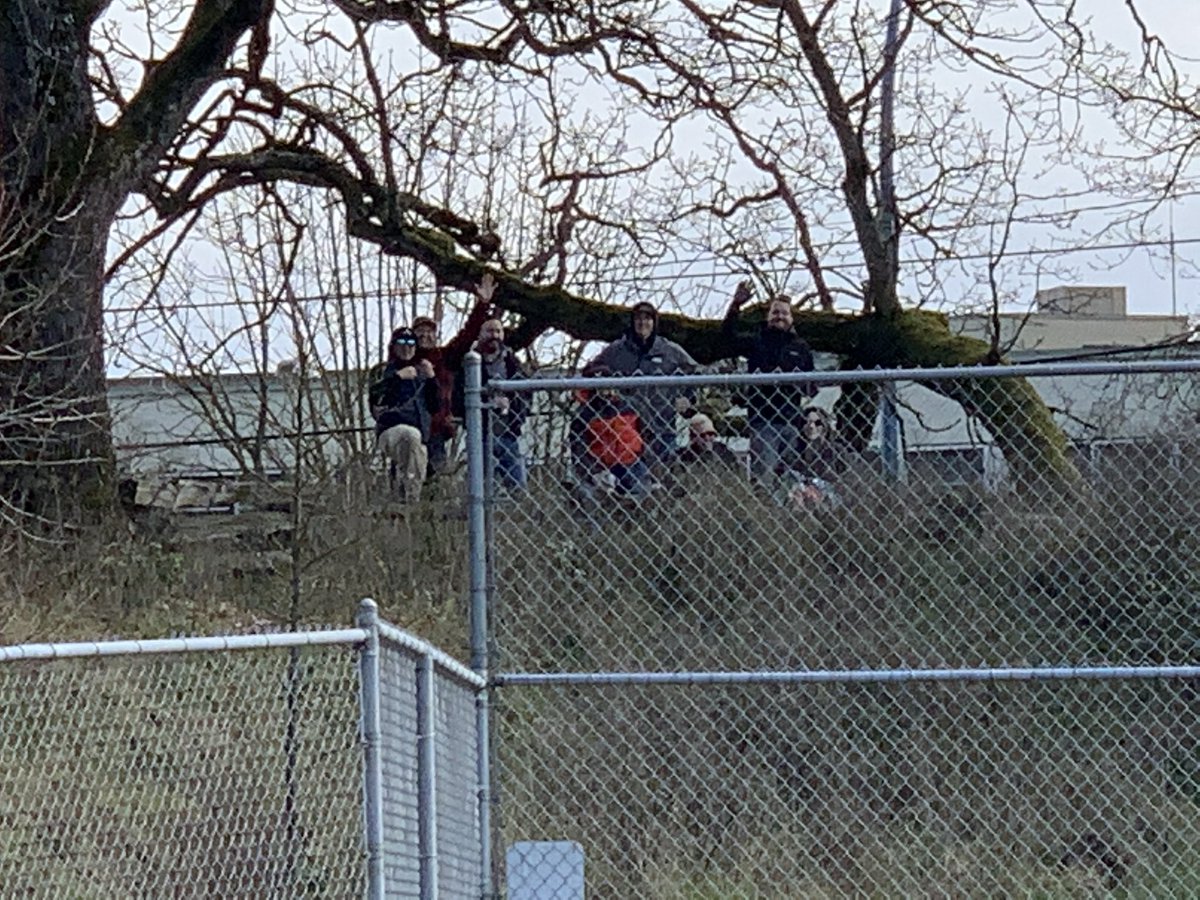 Vince Greco 🇨🇦 🇮🇹 ⚽️ ⚾️ 🥎 🥋 tweet media