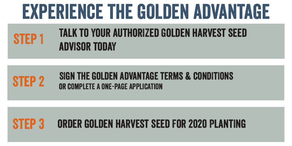 GldnHarvest's tweet photo. Experience the Golden Advantage in 3 easy steps https://t.co/Gn6HhjLEOh
#GoldenAdvantage #YieldStrong https://t.co/4XMxCffJU8