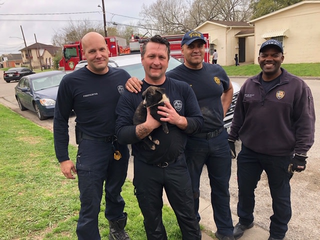 HoustonSPCA's tweet photo. FOUR LONG HOURS: Somehow an 8-week old pup got separated from his litter and had to be rescued from deep inside a storm drain off East Navigation.  Great teamwork with @HoustonFireDepartment #Rescue42 #Engine20  The litter is now safe on our #campus getting checked out by sta.... https://t.co/TsX6CfdJld