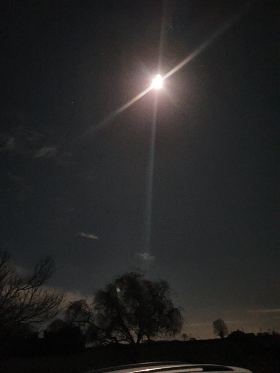 Freddie Hay tweet media