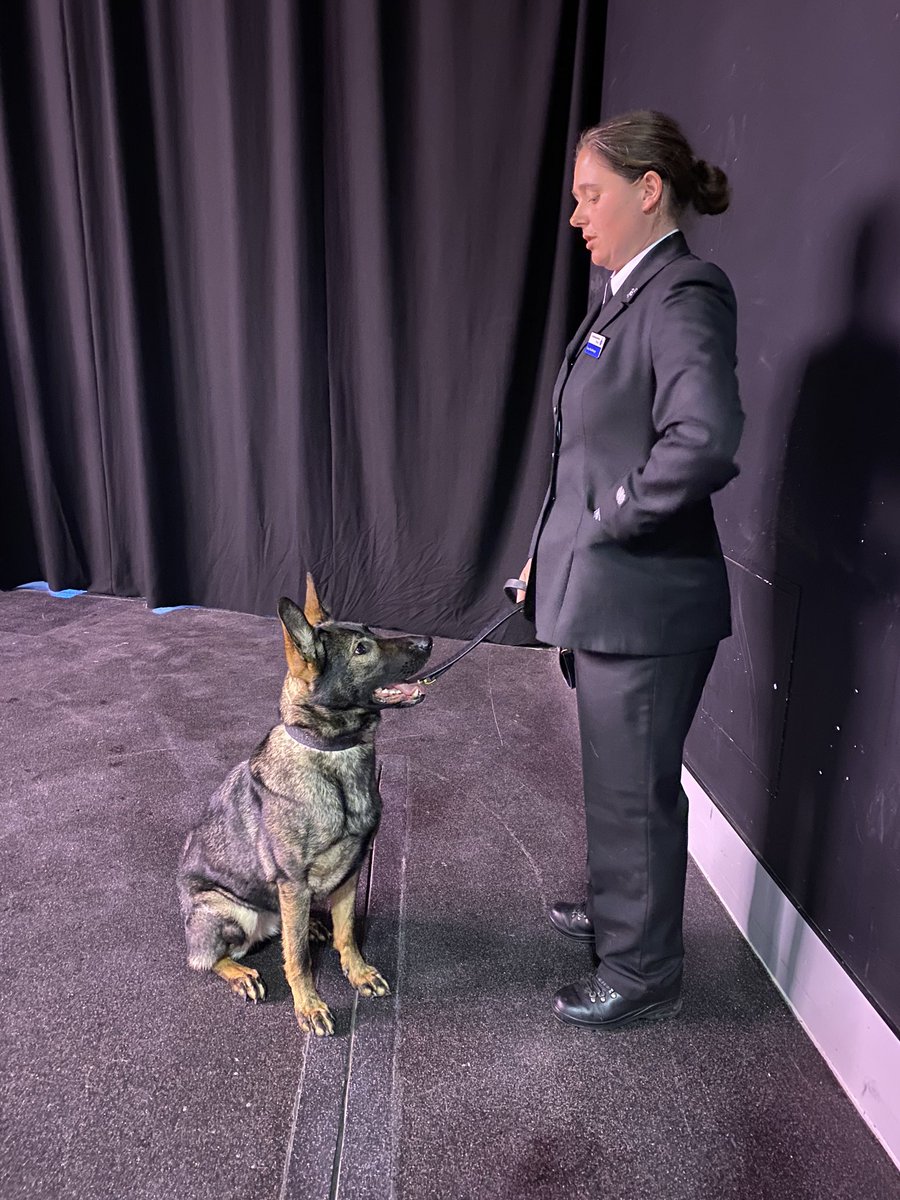 Northants Police Dog Section tweet media