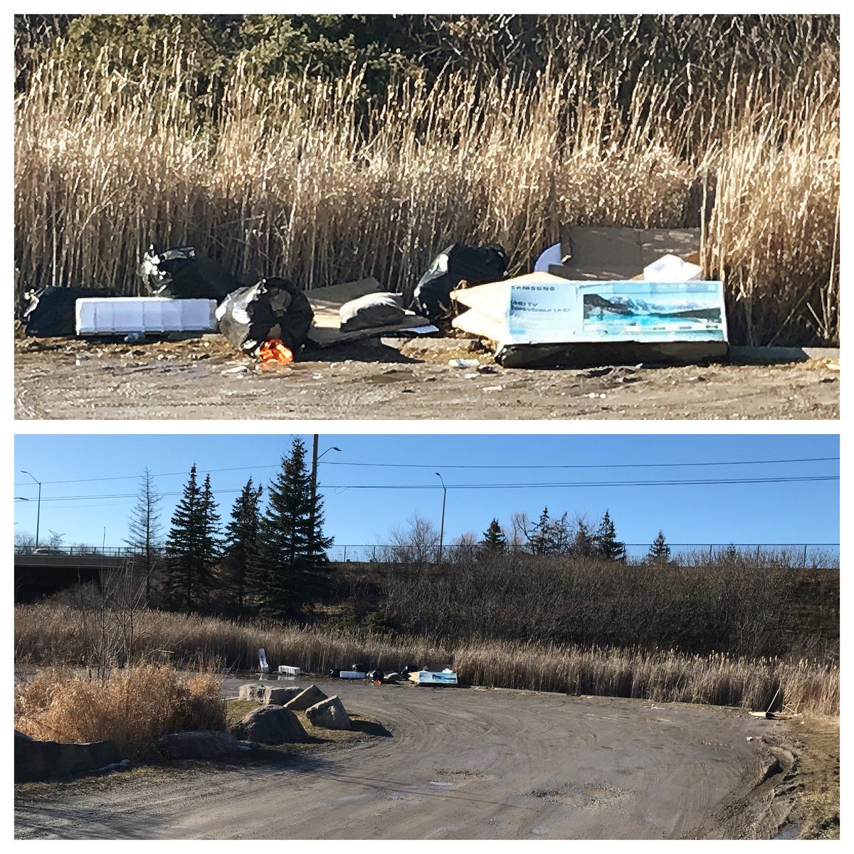 AnwarKnight's tweet photo. Yeah, sure that makes sense. Ya got a new TV, and why bother preparing the packaging for garbage pickup -INSTEAD just dump it at your local park. (This ruined what was otherwise a stellar day) #pigs #dumping #losers #communityiswatching 
#increasefines #whoaretheseppl https://t.co/DAKov238vk