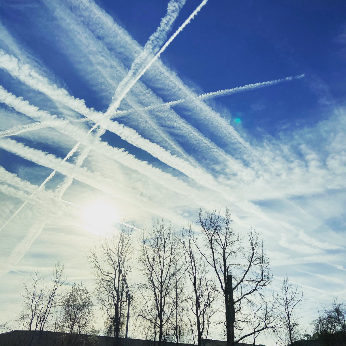 Marcelo Blanco tweet media