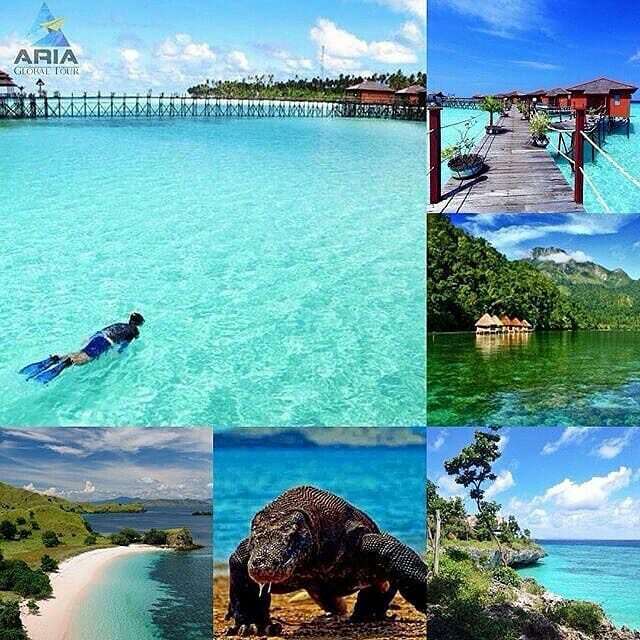 AriaGlobalTour's tweet photo. UPDATE DOMESTIC PACKAGE "INDONESIA TIMUR" 2020 #AGTour
.
Code : KT (paket belum termasuk tiket pesawat)
.
3D2N KOMODO X AYANA BY SPEEDBOAT Start IDR 3.500.000/org | Include : Transport, Akomodasi, Tour, Guide, Meals | Min 8 org
.
3D2N TANJUNG PUTING Start IDR 3.000.000/org |… https://t.co/7buWVMJBYx