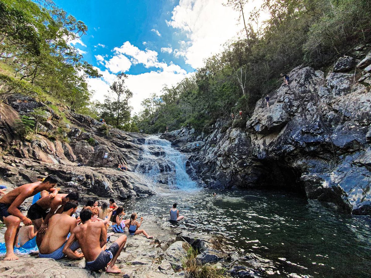 Sorry TLC but we're definitely going to be chasing waterfalls if they look like this 😍 Discover Cedar Creek Falls in Tamborine National Park @VisitScenicRim and other waterfalls around Brisbane 👉 bit.ly/waterfallsandl… 📷 varovelasquez #thisisbrisbane #visitscenicrim