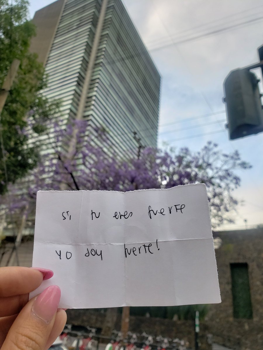 Brisandrade's tweet photo. 8M💜 https://t.co/OB2l2oT316