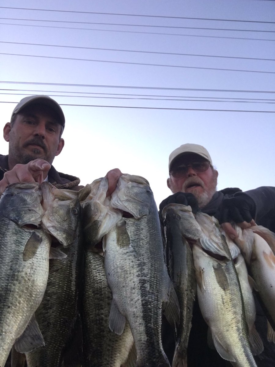 STEVENDEANDEMPS's tweet photo. SD Fishing tremor bait,#yankumcustomtackle spinner bait tied to #Enigmafishing IPPON,Phenom and Aaron’s Edge rods lined with #K9fishingproducts line take care of business today.#GillFieldStaff,#connectscale,#DJMarineElectronics. https://t.co/ysotmIECJe