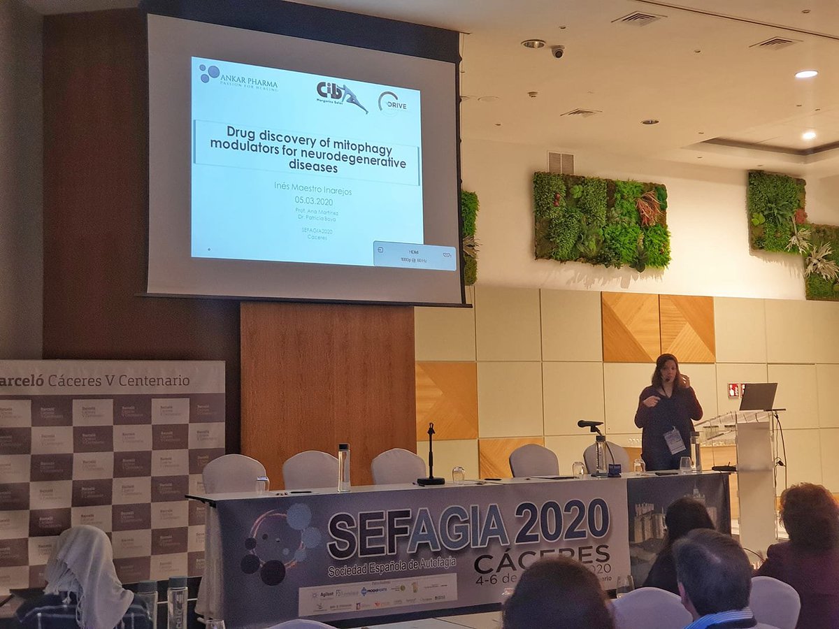 DRIVEAutophagy's tweet photo. Our ESR Ines Maestro giving a talk on "Drug discovery of mitophagy modulators for neurodegenerative diseases" @SEFAGIA 2020 Congress https://t.co/wLQc2lE9T1